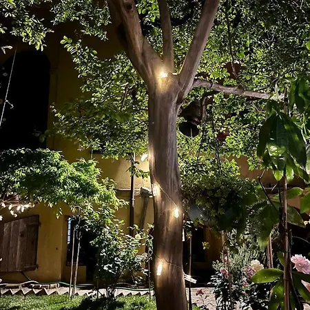 'degli Artisti' Bed & Breakfast Magliano Sabina