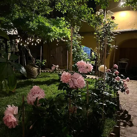 Bed & Breakfast 'degli Artisti' Magliano Sabina